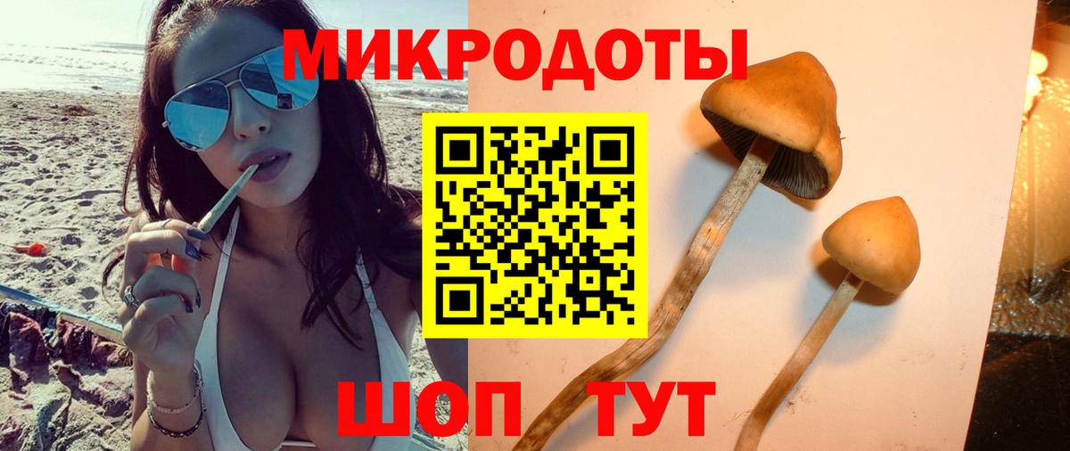 Галлюциногенные грибы MAGIC MUSHROOMS  Вход с VPN  Чернушка 